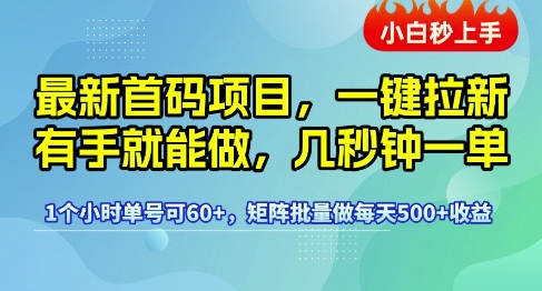 最新首码项目，一键拉新有手就能做，几秒钟一单，1个小时单号可60+，矩阵批量做每天5张【揭秘】-网创百晓生