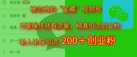 被忽略的“宝藏”视频号引流精准创业粉单人单日引流200+精准粉-网创百晓生