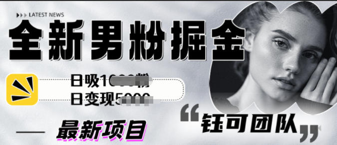 全新男粉掘金思路日吸粉100+日变现1k+-网创百晓生