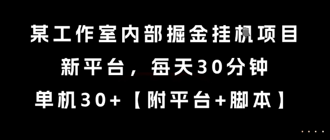 某工作室内部掘金挂G项目，新平台，每天30分钟，单机30+【揭秘】-网创百晓生
