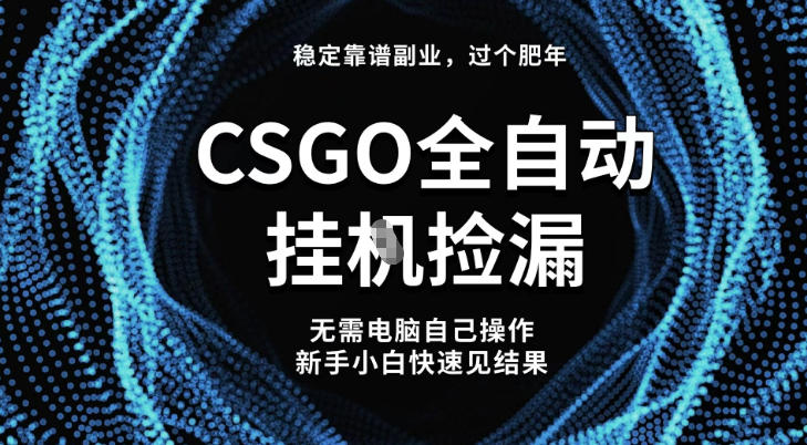【稳定副业】全球最热门游戏CSGO全自动捡漏，最新玩法，新手小白日入5张+【揭秘】-网创百晓生
