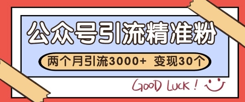 公众号精准粉引流玩法，2个月3000+精准粉，变现30个W【揭秘】-网创百晓生