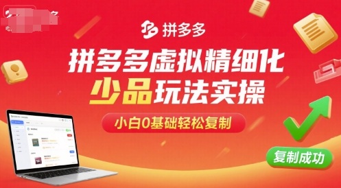 拼多多虚拟精细化少品玩法实操，小白0基础轻松复制-网创百晓生