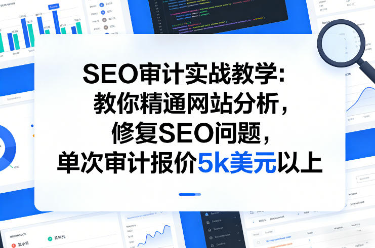 SEO审计实战教学：教你精通网站分析，修复SEO问题，单次审计报价5k美元以上-网创百晓生