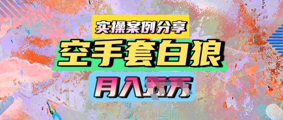 空手套白狼，月入过1W，实操案例分享-网创百晓生