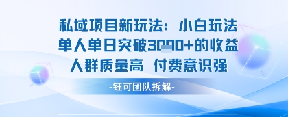 私域项目新玩法小白玩法单人单日突破1k的收益人群质量高付费意识强-网创百晓生