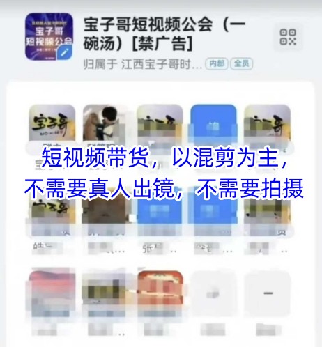 宝子哥头部团队短视频带货，以混剪为主，不需要真人出镜，不需要拍摄【更新】-网创百晓生