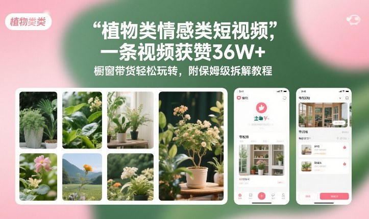 植物类情感类短视频，一条视频获赞36W+，橱窗带货轻松玩转，附保姆级拆解教程-网创百晓生