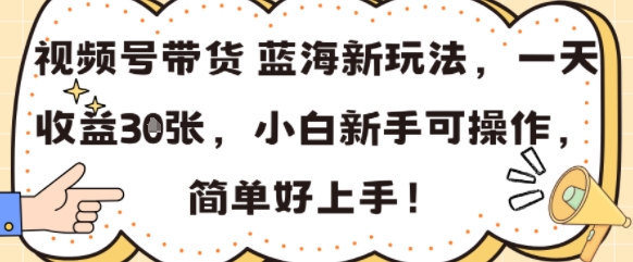 视频号带货蓝海新玩法，一天收益3张，小白新手可操作，简单好上手!-网创百晓生