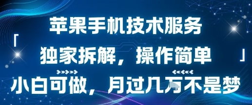 苹果手机技术服务，独家拆解，操作简单，小白可做，月过1W不是梦-网创百晓生