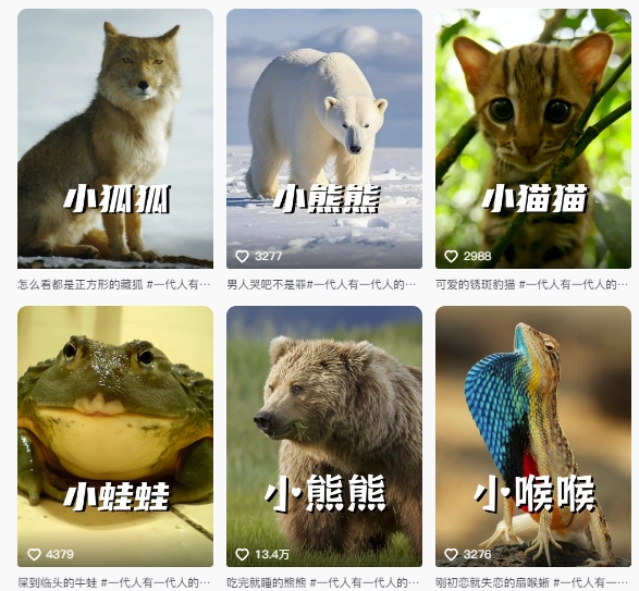 最新搞笑动物百科详细解说课程，蓝海赛道，流量非常大，轻松签独家进精选-网创百晓生