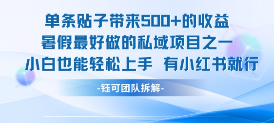 单条贴子带来5张的收益，暑假最好做的私域项目之一，小白也能轻松上手，有小红书就行-网创百晓生