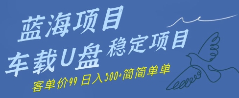 蓝海项目车载U盘稳定项目，挣的就是信息差，客单价99，日入几张简简单单-网创百晓生