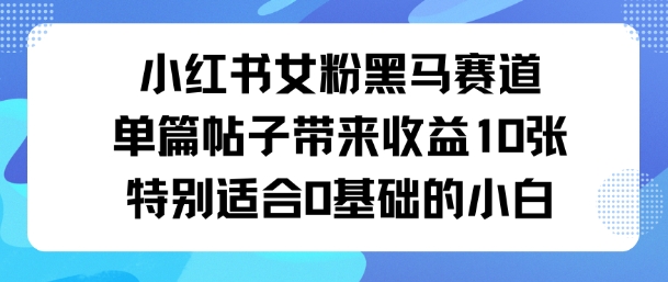 小红书女粉黑马赛道单篇帖子带来收益10张特别适合0基础的小白-网创百晓生