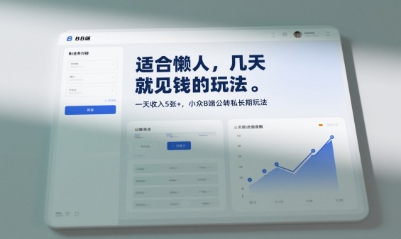 适合懒人，几天就见钱的玩法，一天收入5张+，小众B端公转私长期玩法-网创百晓生