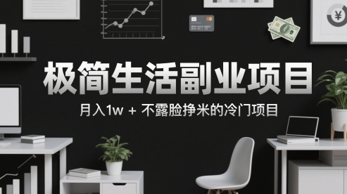 极简生活副业项目，月入1w+不露脸挣米的冷门项目-网创百晓生