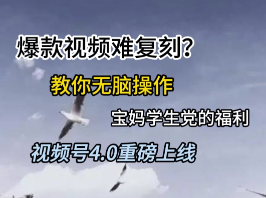 视频号4.0重磅上线，爆款视频难复刻？教你无脑操作宝妈学生党的福利【揭秘】-网创百晓生