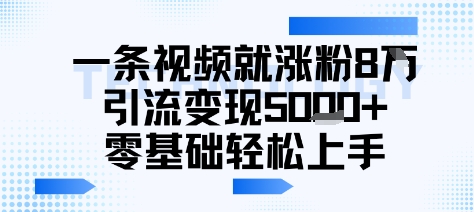 一条视频就涨粉8W引流变现5k+，0基础项目轻松上手-网创百晓生