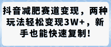 抖音减肥赛道变现，两种玩法轻松变现3W+，新手也能快速复制-网创百晓生