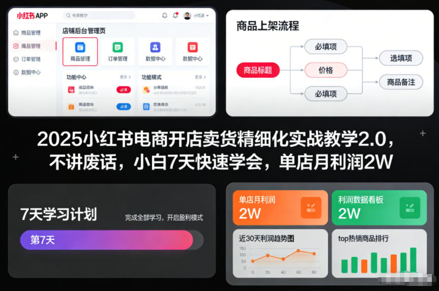 2025小红书电商开店卖货精细化实战教学2.0，不讲废话，小白7天快速学会，单店月利润2W-网创百晓生