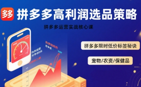拼多多选品暴利技术实战课，拼多多高利润选品策略，拼多多限时低价标签秘诀-网创百晓生