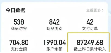 2026新手也能操作的带货玩法，用这个方法零门槛，轻松月入10000+-网创百晓生