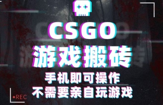 CSGO游戏挂G捡漏，单日扫货5张+，年底小高峰上车可吃肉，手机即可操作，兼职副业创业网创【揭秘】-网创百晓生