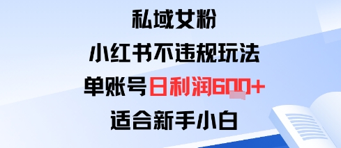 私域女粉：小红书平台不违规玩法单账号日利润6张+适合新手小白-网创百晓生