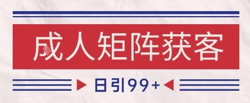小红书某音橙人赛道引流获客，自热矩阵日引200+【揭秘】-网创百晓生