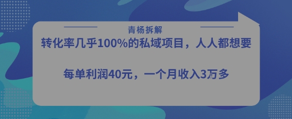 转化率最高的私域项目，每单利润40-50米，月入过1w-网创百晓生