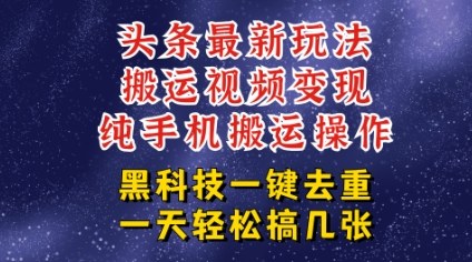 今日头条纯搬运玩法，轻松过原创不违规，轻松日入三位数，稳的很-网创百晓生