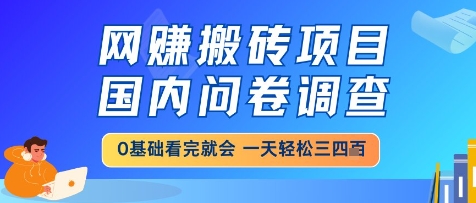网创搬砖项目，国内问卷调查，小白轻松上手，一天三四张的也不难，干就完了【揭秘】-网创百晓生