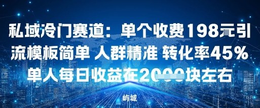 私域冷门赛道：单个收费198米引流模板简单人群精准转化率45%单人每日收益在1k+-网创百晓生