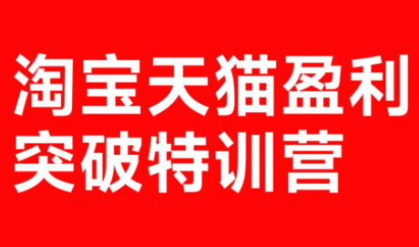 玺承·淘宝天猫盈利突破特训营(25年12月线下课)【音频+字幕】-网创百晓生