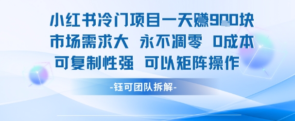 小红书冷门项目一天收益9张，市场需求大，0成本，可复制性强可以矩阵操作-网创百晓生