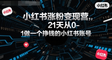 小红书涨粉变现营，21天从0-1做一个挣钱的小红书账号-网创百晓生