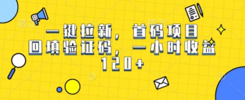 一键拉新，首码项目，回填验证码，一小时收益1张-网创百晓生