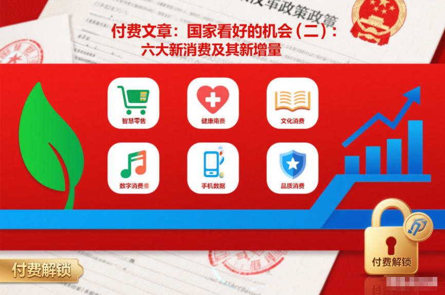 付费文章：国家看好的机会(二)：六大新消费及其新增量 付费文章：国家看好的机会(一):未来最有前景的13个消费赛道-网创百晓生