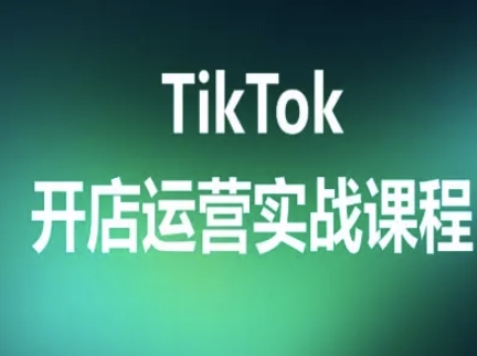 TikTok开店运营实战课程，TK跨境电商实操全流程-网创百晓生