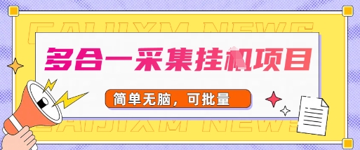 多合一采集项目，无脑操作，简单批量-网创百晓生