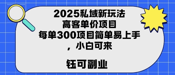 2025私域新玩法高客单价，每单3张操作简单，小白可轻松上手-网创百晓生