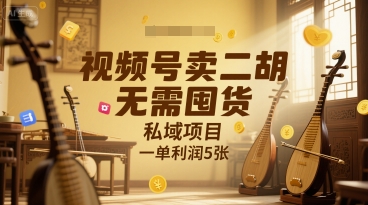 视频号卖二胡，无需囤货，私域项目，一单利润5张-网创百晓生