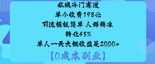 私域冷门赛道:单个收费198米引流模板简单人群精准转化45%单人一天大概收益是1k+-网创百晓生