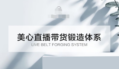 直播带货锻造体系课，5G时代美心一站式帮你开启直播带货之路【音频】-网创百晓生