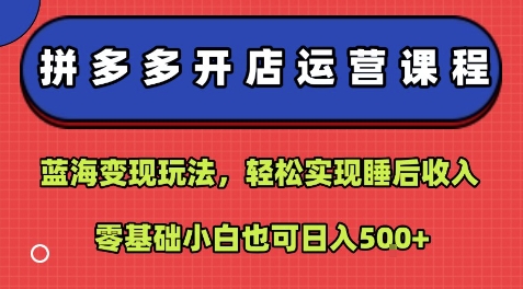 拼多多开店运营课程：蓝海变现玩法，轻松实现睡后收入，零基础小白也可日入5张-网创百晓生