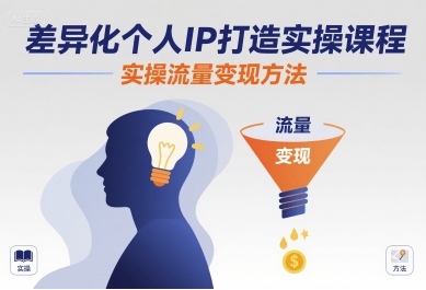 差异化个人IP打造实操课程，实操流量变现方法-网创百晓生