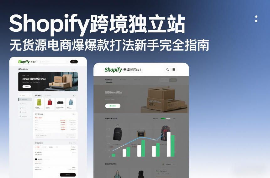 Shopify跨境独立站无货源电商爆款打法新手完全指南-网创百晓生