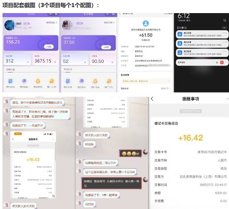当天能收益的3个小项目拆解_包括平台+操作流程-网创百晓生
