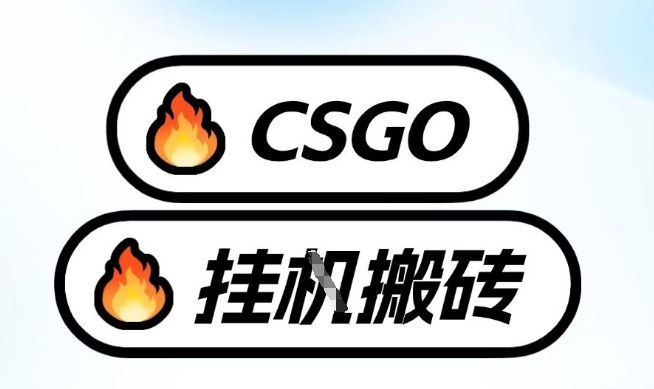 真全网独家CSGO挂G，最新玩法,单日捡漏1K+，不用电脑，不用打游戏【揭秘】-网创百晓生