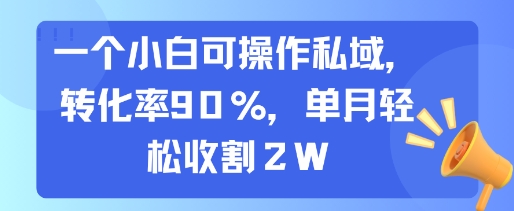 一个小白可操作私域，转化率90%，单月轻松收割2W-网创百晓生